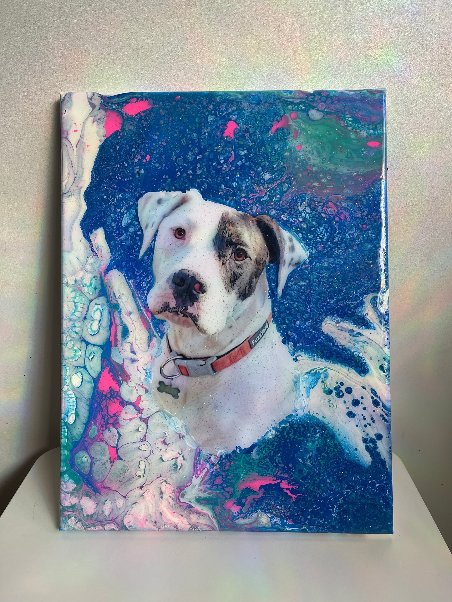 Acrylic Resin Pet Canvas
